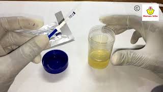 How to perform HCG Pregnancy test at home [upl. by Neelrad440]