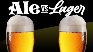 Ale vs Lager  Brewing both amp Comparing them [upl. by Asemaj]