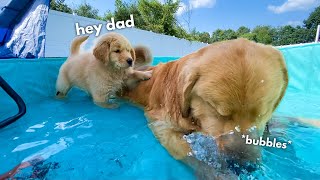 Tucker Shows Todd How to Swim [upl. by Aliuqaj]