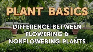 Difference Between Flowering amp Nonflowering Plants [upl. by Cung53]