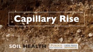 Soil Basics Capillary Rise [upl. by Leahcam]