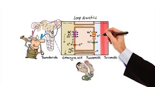 Pharmacology  DIURETICS MADE EASY [upl. by Longan]