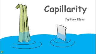 Capillary Rise in Soils [upl. by Llenoj709]