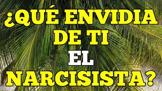 8 CARACTERÍSTICAS QUE ELLA NARCISISTA ENVIDIA DE TI [upl. by Lonna]