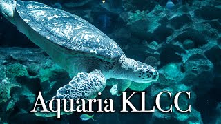 aquaria KLCC in Kuala Lumpur  Largest Aquarium in Malaysia【Full Tour in 4k】 [upl. by Annovahs]