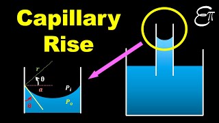 🔴 Capillary Rise  Surface Tension  for Class 11 in HINDI [upl. by Flip]