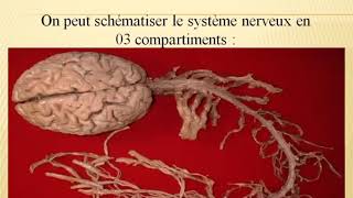 CHU de Nice  Neurologie  Neurochirurgie  EEG [upl. by Baptist121]