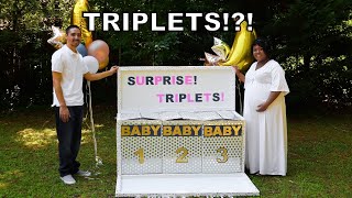 Gender Reveal Surprise Triplets [upl. by Akeylah]