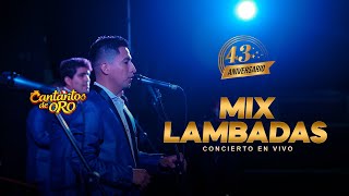 MIX LAMBADAS  CANTARITOS DE ORO [upl. by Ahtreb]