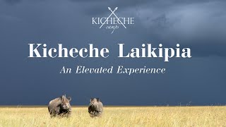 Kicheche Laikipia  An Elevated Experience [upl. by March]