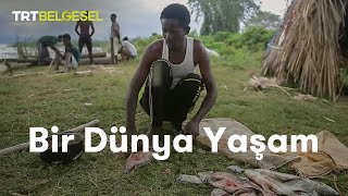 Bir Dünya Yaşam  Afrikada Balıkçılık  TRT Belgesel [upl. by Eelik]