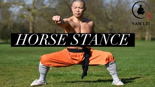 Kung Fu Horse Stance  Internal and External [upl. by Flora833]