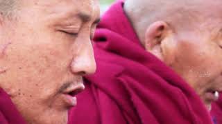 Dalai Lama Biography and Life Story  Full Documentary [upl. by Golub]