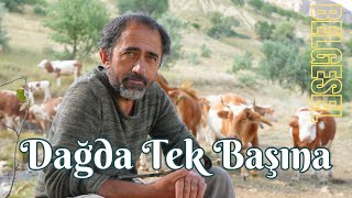 Tek Başına Dağda Hayvancılık  Belgesel Film [upl. by Hiram]