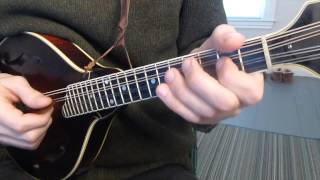 Cooleys Reel with Tabs  Mandolin Lesson [upl. by Assiruam]