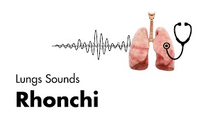 Rhonchi  Lung Sounds  Medzcool [upl. by Ayiotal]