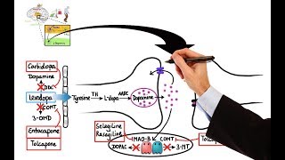 Pharmacology  DRUGS FOR PARKINSONS DISEASE MADE EASY [upl. by Parish]