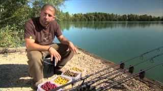 Mainline Bait  High Impact Range Boilies [upl. by Nile668]