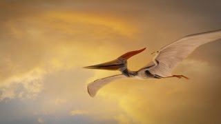 How Were Pterosaurs Adapted for Flight [upl. by Leggat]