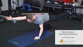 Horse Stance Horizontal Exercise [upl. by Haliek]