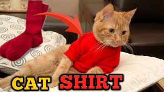 Diy cat shirt with socks at home [upl. by Virg]