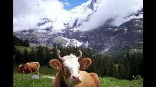 Berner Oberland Anthem Vogellisi [upl. by Arriek]