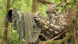 BIRD PHOTOGRAPHY in the forest  Wildlife photography behind the scenes  Nikon Z7 FTZ camouflage [upl. by Treble964]