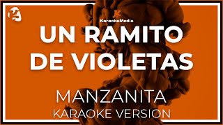 Manzanita  Un Ramito De Violetas LETRA INSTRUMENTAL KARAOKE ISRC ES54I0324312 [upl. by Pepe]