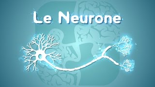 🔴Neurologie Examen Neurologique [upl. by Durgy]