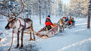 BBC Travel Show  Finnish lapland week 51 [upl. by Ahtanamas]