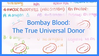 Bombay Blood The True Universal Donor Blood Type [upl. by Randolf]