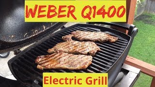 Weber Q1400 Electric Grill [upl. by Arva]