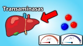 Transaminasas Altas EXPLICACIÓN EN 5 MINUTOS  Patología Clínica101 [upl. by Sueahccaz83]