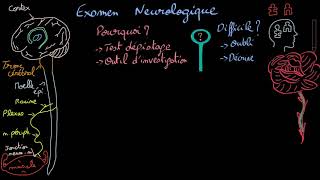 Comment fonctionne notre mémoire  Un neurologue répond [upl. by Aniretake]