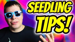 SEEDLING TIPS FOR BEGINNERS [upl. by Upton204]