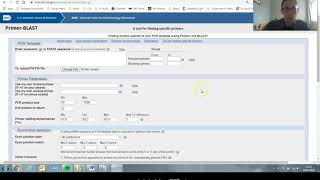 How to use PrimerBlast to create PCR primers [upl. by Droc]