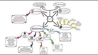 Abdominal Examination  OSCE [upl. by Cooe]