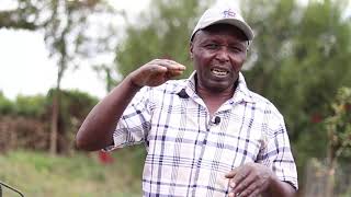 KenyaLaikipia County Water Harvesting [upl. by Sapers306]