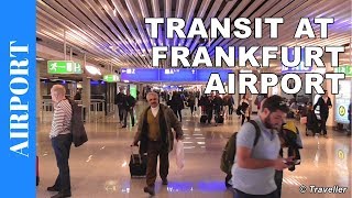 TRANSIT WALK AT FRANKFURT Airport FRA Terminal 1  Connection Flight Transfer Arriving amp Departing [upl. by Nivan250]