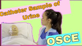 Catheter Sample of Urine CSU OSCE 2021 [upl. by Mayor273]