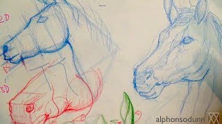 How to Draw a Horse Portrait [upl. by Gelb]