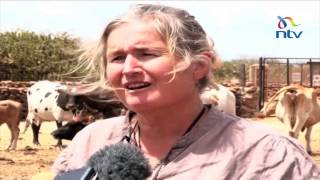 Laikipia ranch invasions Rumuruti residents decry police harassment [upl. by Ronel933]