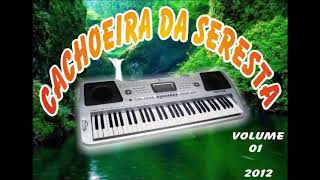 Cachoeira Da Seresta Vol1 2012 [upl. by Okimat]