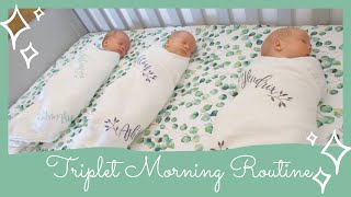 Newborn Triplets Morning Routine [upl. by Isac706]